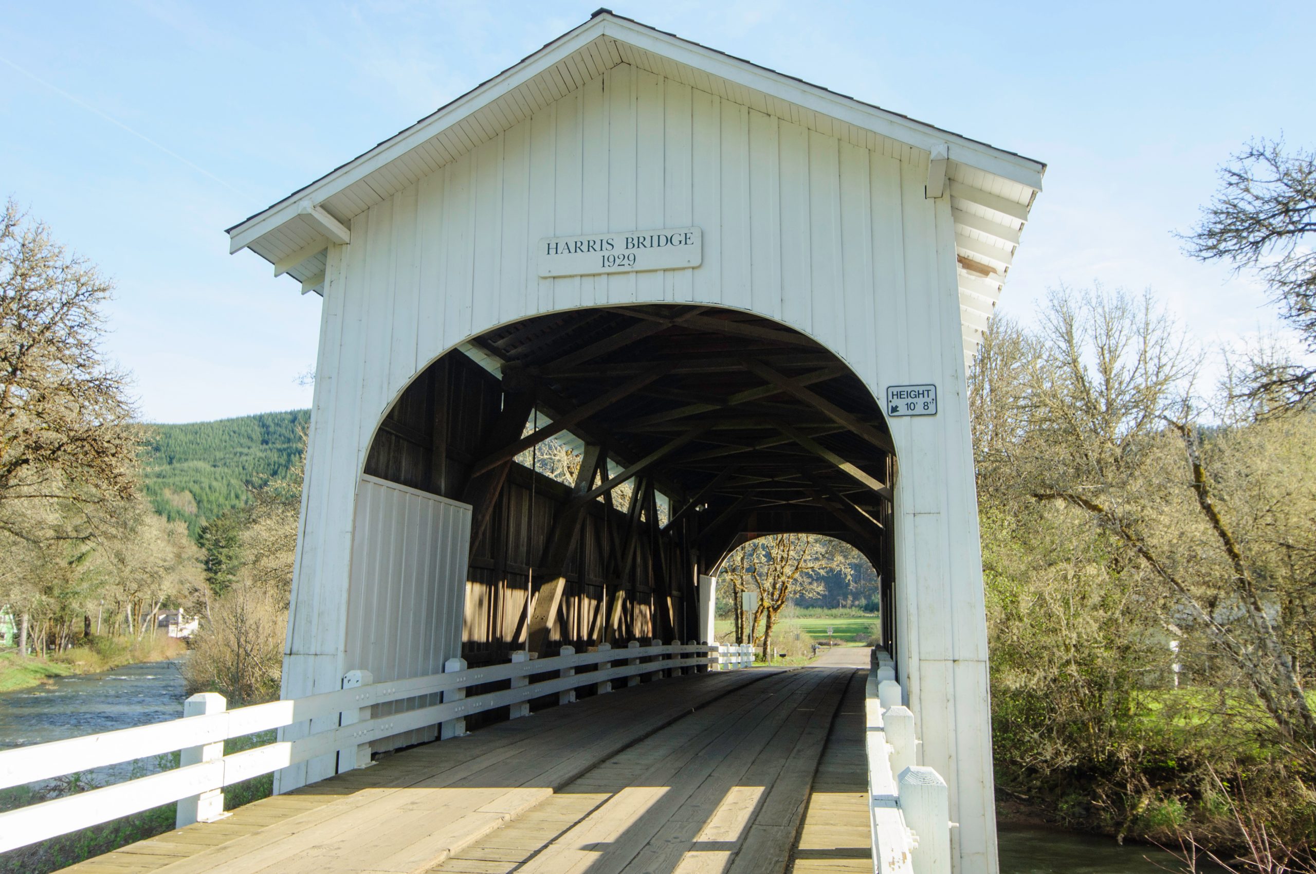 Covered bridge surrounded by trees on a sunny day